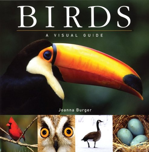 Birds : a visual guide