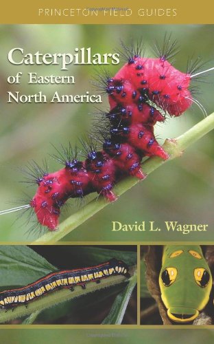 Caterpillars of eastern North America : a guide to identification and natural history