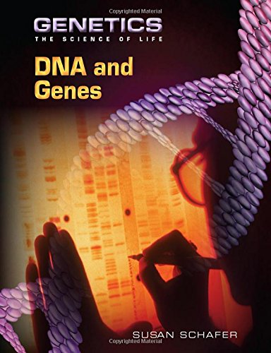 DNA and genes