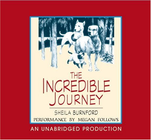 The incredible journey