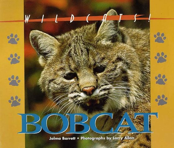 Bobcat