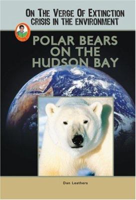 Polar bears on the Hudson Bay