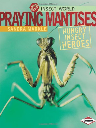 Praying mantises : hungry insect heroes /
