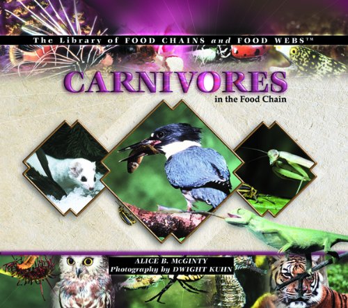 Carnivores in the food chain