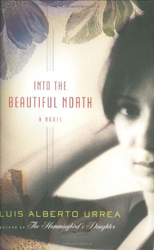 Into the beautiful North : a novel