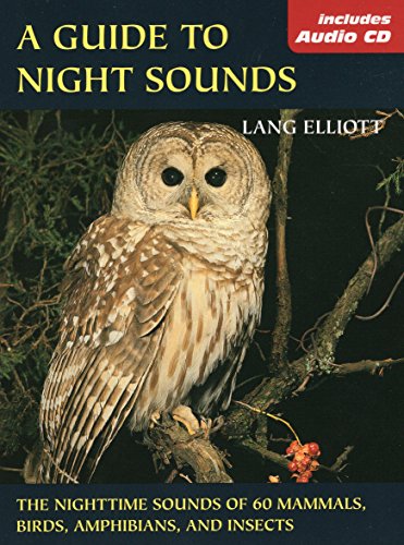 A guide to night sounds