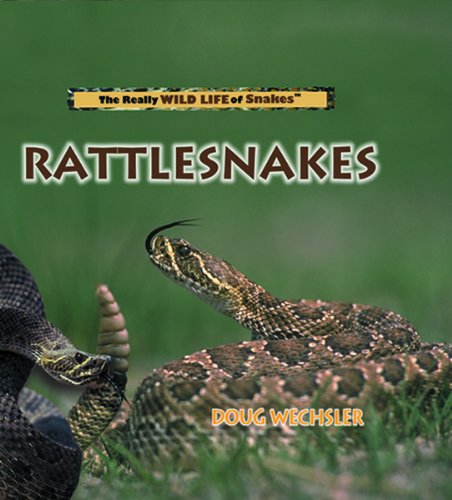 Rattlesnakes