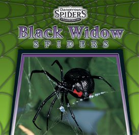 Black widow spiders