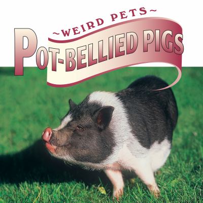 Pot-bellied pigs