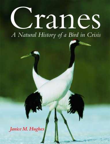 Cranes : a natural history of a bird in crisis