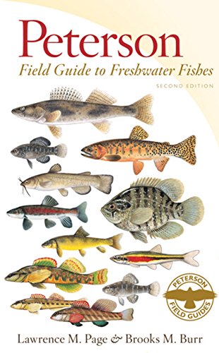 Peterson field guide to freshwater fishes of North America north of Mexico