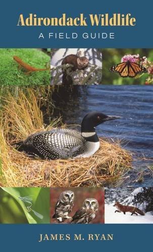 Adirondack wildlife : a field guide