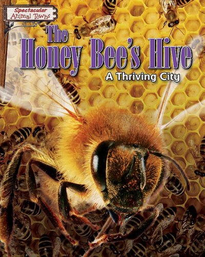 The honey bee's hive : a thriving city