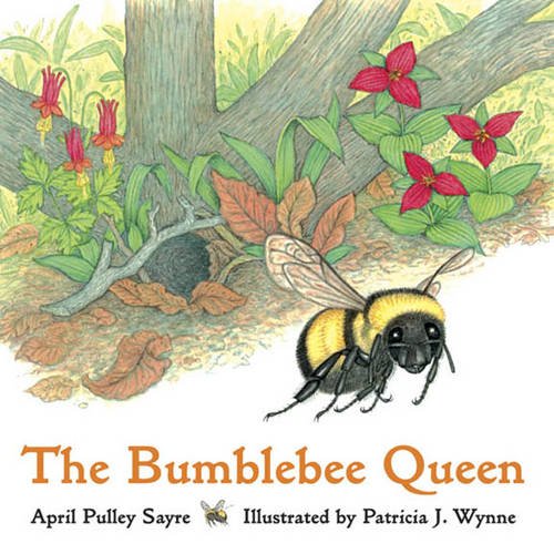 The bumblebee queen