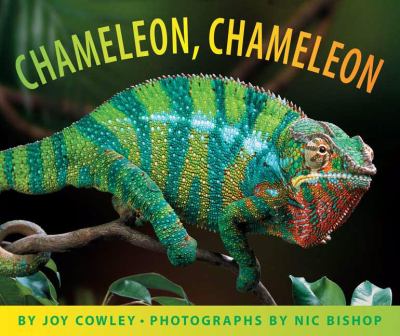 Chameleon, chameleon