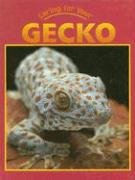 Caring for your gecko