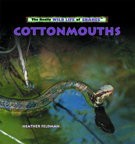 Cottonmouths