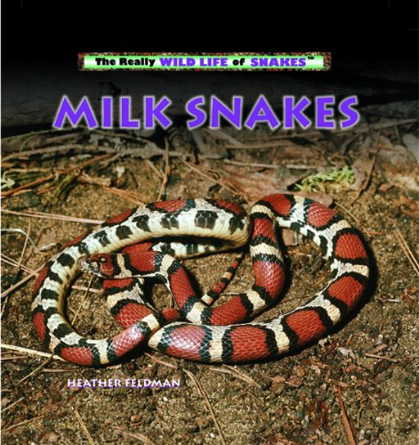 Milk snakes