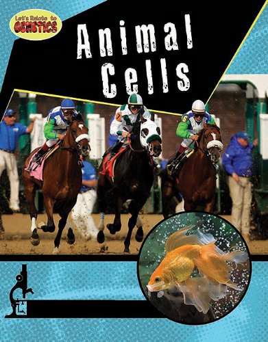 Animal cells