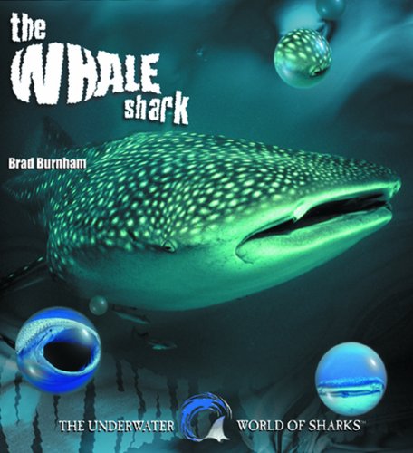 The whale shark
