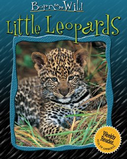 Little leopards