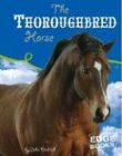 The thoroughbred horse