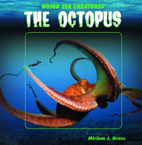 The octopus