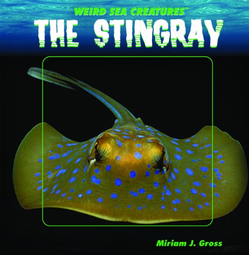 The stingray