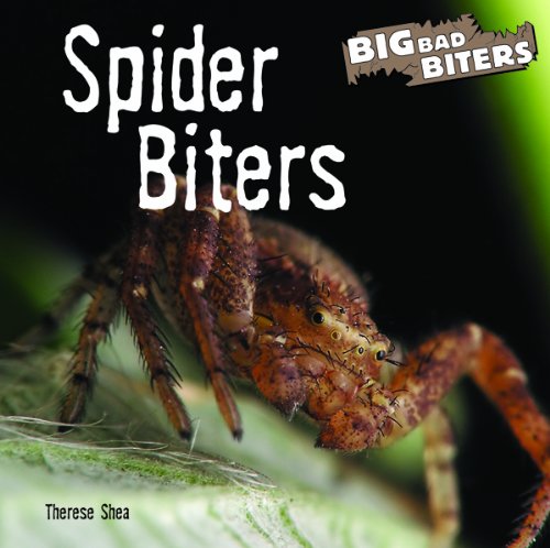 Spider biters