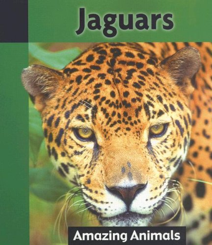 Jaguars