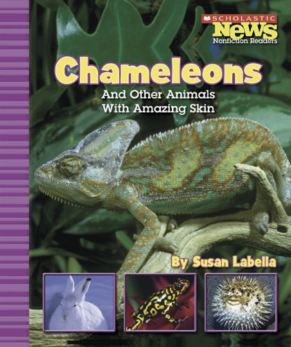 Chameleons and other animals with amazing skin