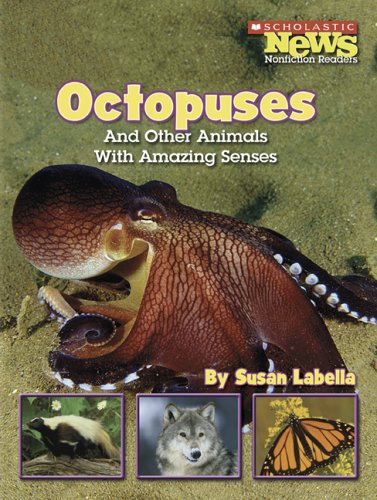 Octopuses and other animals with amazing senses