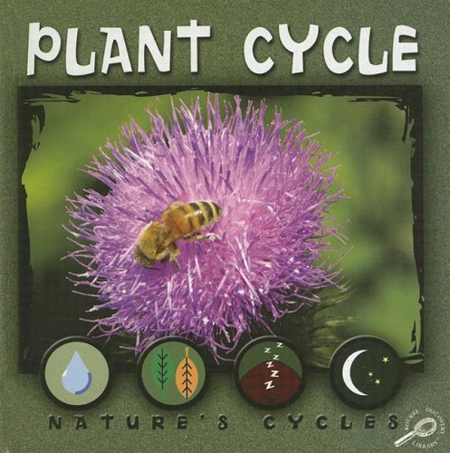 Plant cycle