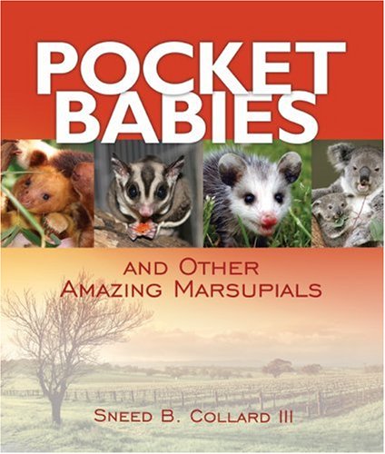 Pocket babies and other amazing marsupials