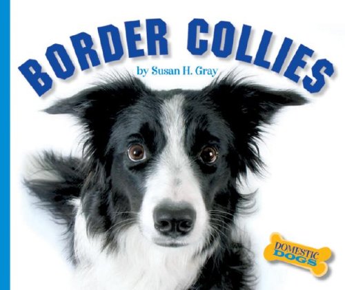 Border collies