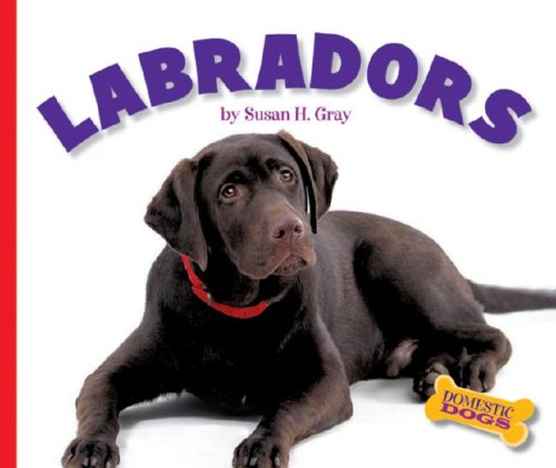 Labradors