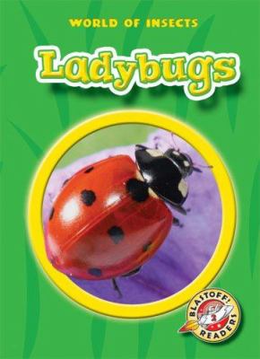 Ladybugs