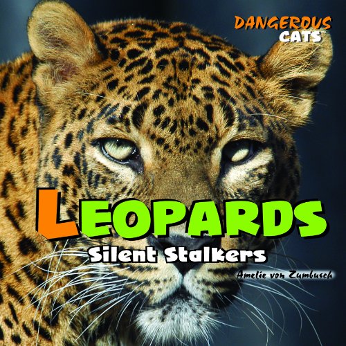 Leopards : silent stalkers