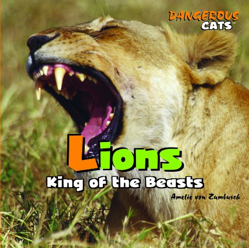 Lions : king of the beasts