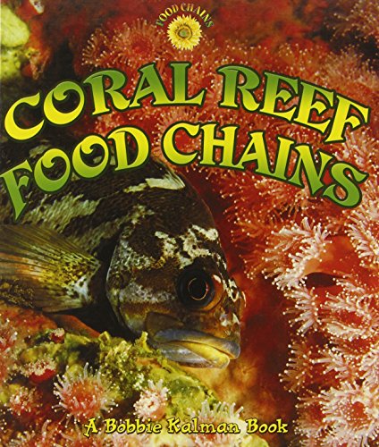 Coral reef food chains