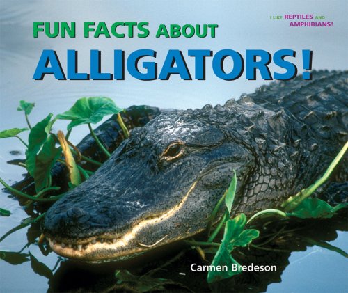 Fun facts about alligators!