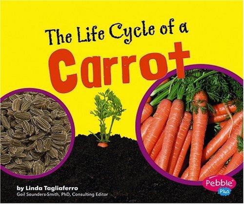 The life cycle of a carrot