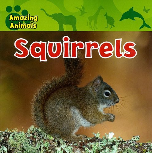 Squirrels