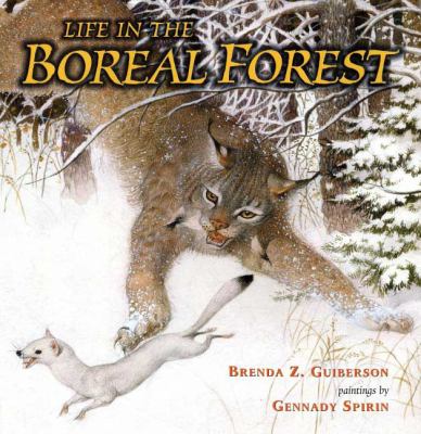 Life in the boreal forest