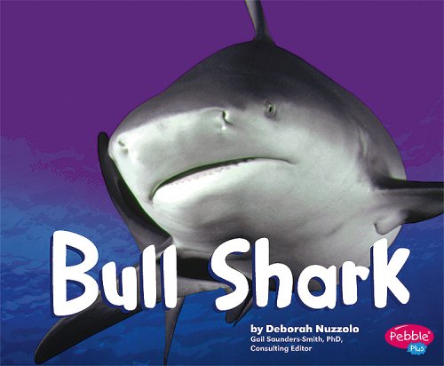 Bull shark