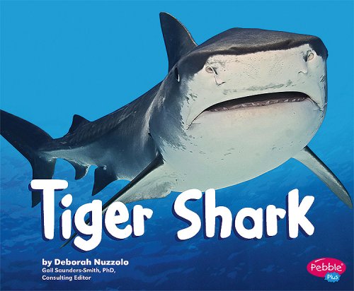 Tiger shark