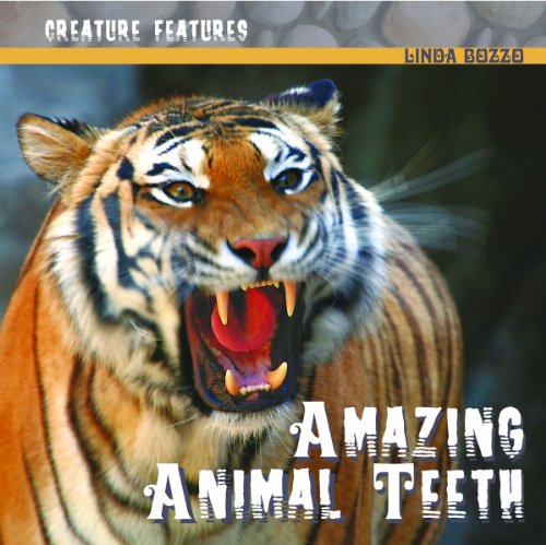 Amazing animal teeth