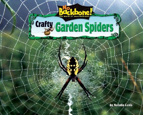 Crafty garden spiders