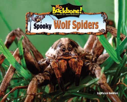 Spooky wolf spiders