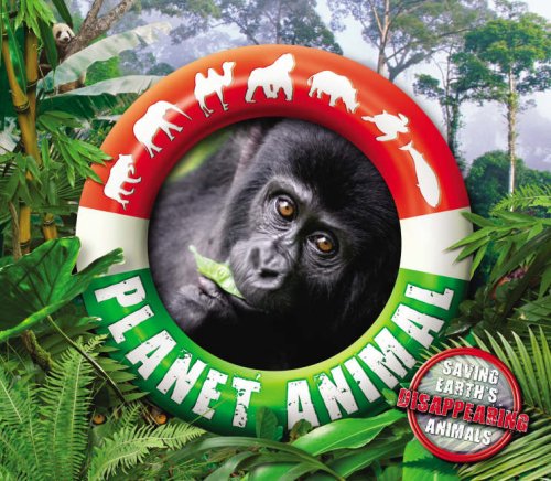 Planet animal : saving Earth's disappearing animals